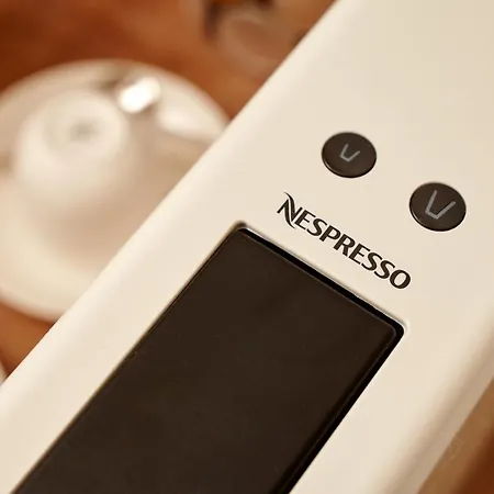 Ziggy Star In Diocletian Palace Split