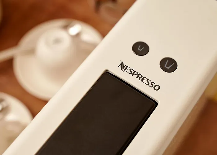 Ziggy Star In Diocletian Palace Сплит