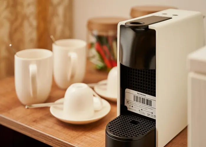 Ziggy Star In Diocletian Palace